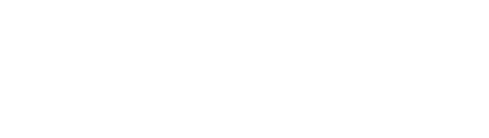 logotype-footer